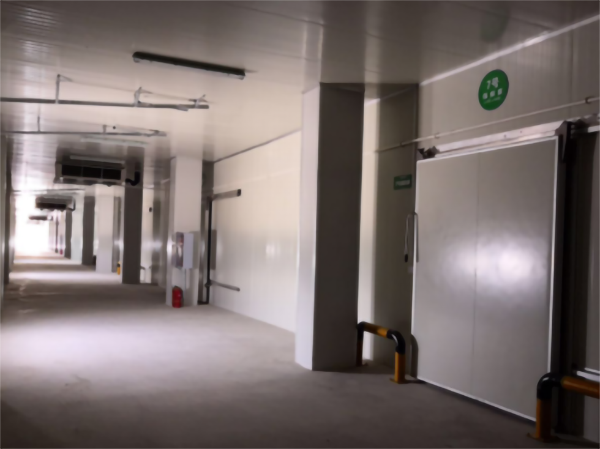 食品公司內建造一個1000平包子、水餃速凍冷庫費用是多少？