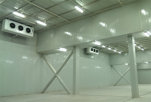 速凍冷庫設計注意事項及其具備功能有哪些？