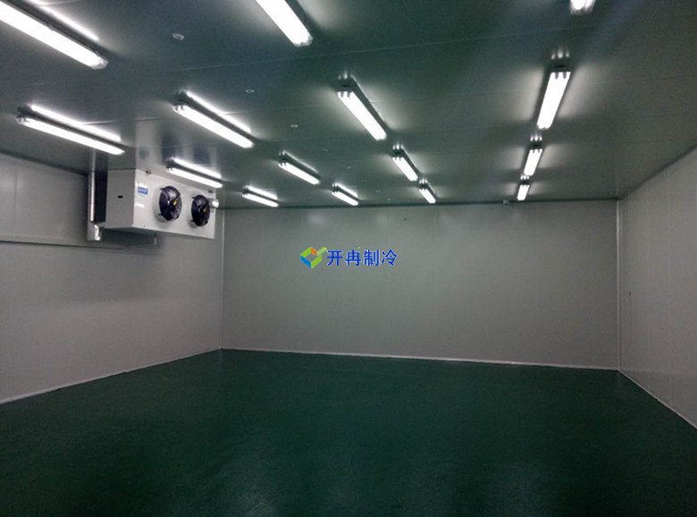 醫療冷庫的安裝標準，2-8℃生物制品冷庫安裝制冷設備造價 冷庫內景圖片
