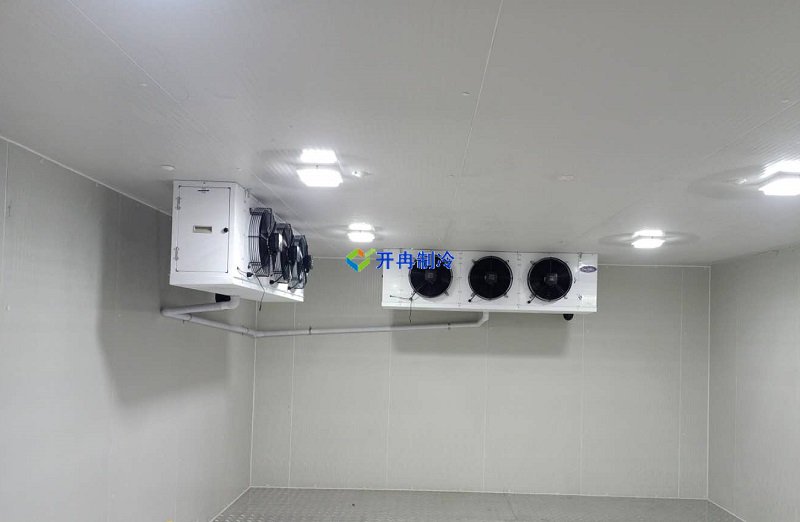 三甲醫院冷庫，體外診斷試劑冷庫